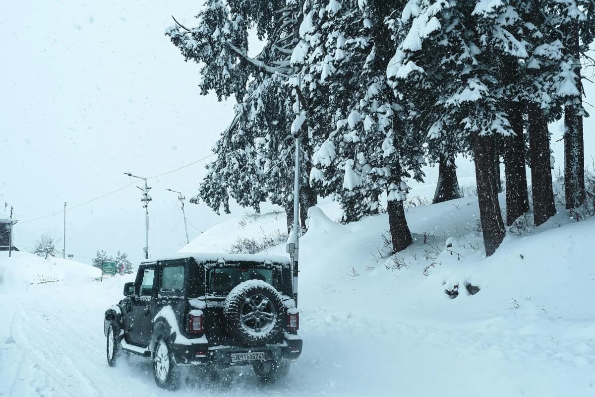 Srinagar & Gulmarg Escape