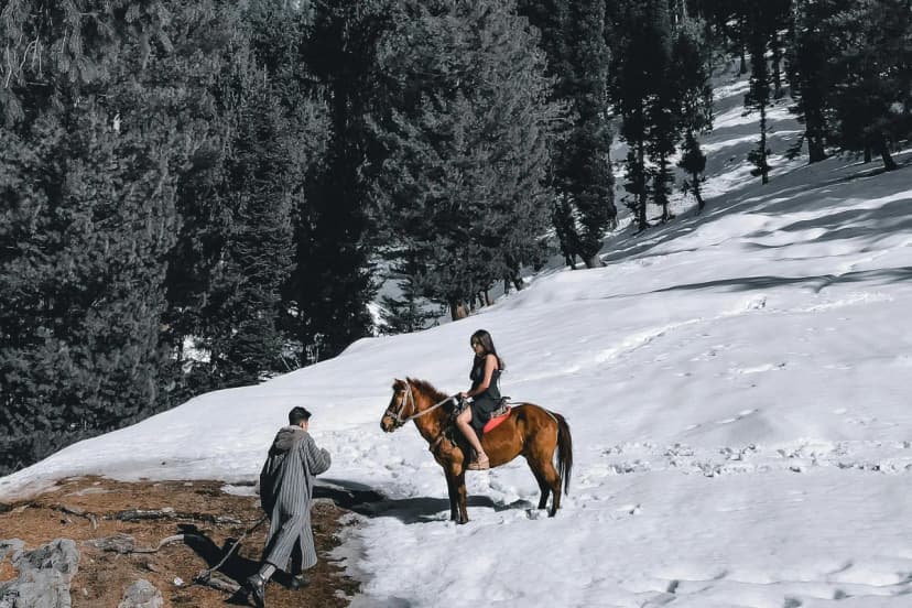 Kashmir Family Adventure